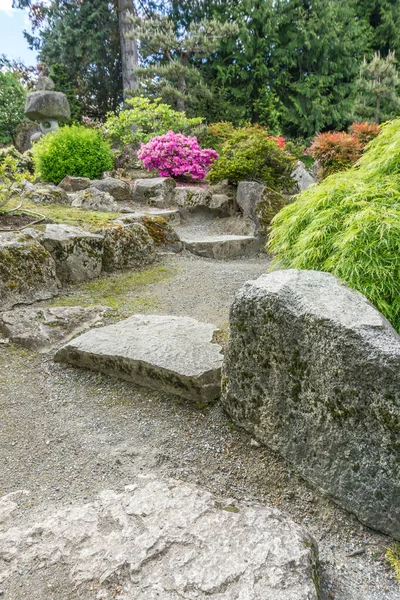 Des Rochers Bordent Sentier Jardin Seatac Washington — Photo