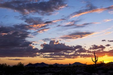 Sonoran Çölü günbatımı