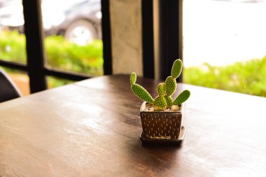 Kaktüs kare pot kazanmasına doğal ışık ahşap tablo