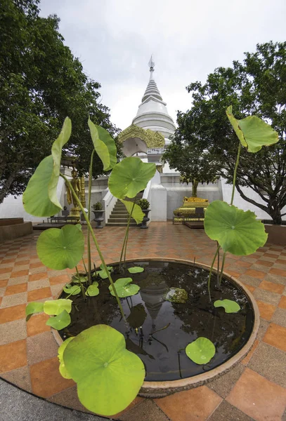 Отражение белой ступы на воде в лотосе горшок в храме, вера — стоковое фото
