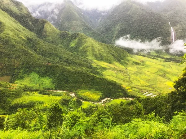 Verde de arroz con cáscara en Sapa con hermoso paisaje, norte V —  Fotos de Stock