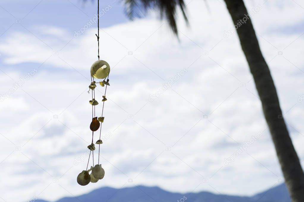 Hanging seashells chime together with every gentle breeze,summer
