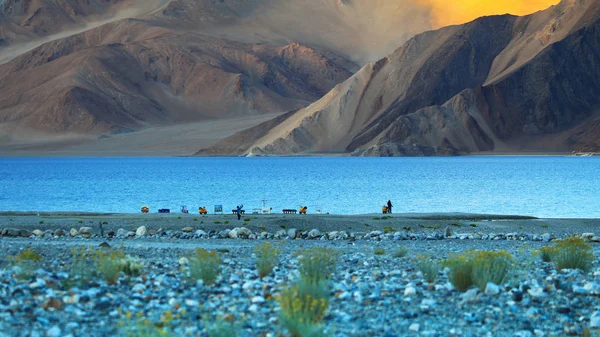 Paisaje con reflejos de las montañas en el lago llamado Pangong Tso, situado en la frontera con la India y China . — Foto de Stock