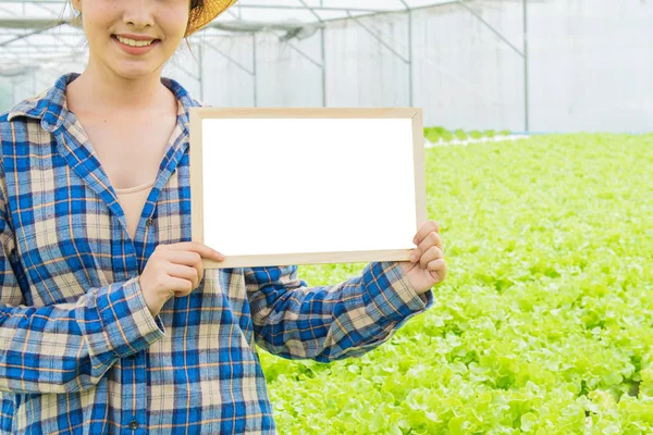 Empty small white board on green vegetable in Hypogenic organic farm with part of asian man and woman standing beside green lettuce farm in background,Small business entrepreneur concept — Stock Photo, Image