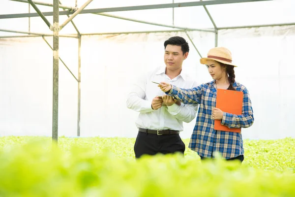 Organic vegetable farm, asian woman farmers inspect organic vegetables in the farm, vegetable salad, vegetable farm for commercial trade,Small business entrepreneur and organic vegetable farm concept