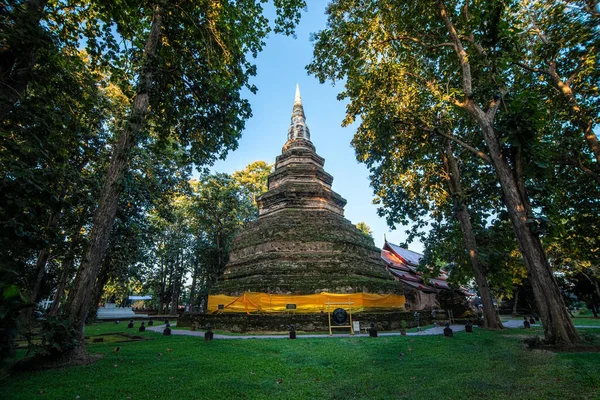 Régi Tégla Sztúpa Wat Vagy Templom Chedi Luang Chiang Saen — Stock Fotó