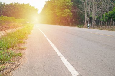 Güneş ışınlı kauçuk ağaçlar arasında boş otoyol, arkaplan için kopyalama alanı olan boş yol.