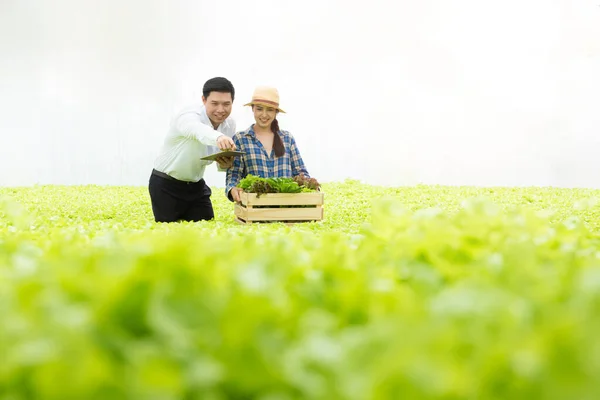 유기농 아시아 농부는 농장에서 유기농 샐러드 중소기업 기업가 유기농 개념을 — 스톡 사진