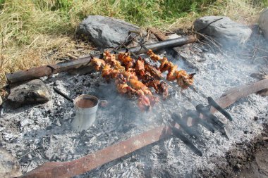 Cennet, dünya, şömineler, çimenler, manzara çiçekler yanıyor.