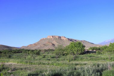 Cennet, dünya, şömineler, çimenler, manzara çiçekler yanıyor.