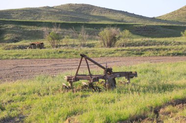 Cennet, dünya, şömineler, çimenler, manzara çiçekler yanıyor.