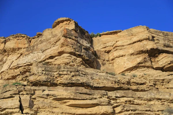 Cennet, dünya, şömineler, çimenler, manzara çiçekler yanıyor.