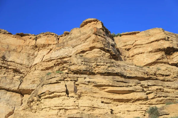 Cennet, dünya, şömineler, çimenler, manzara çiçekler yanıyor.