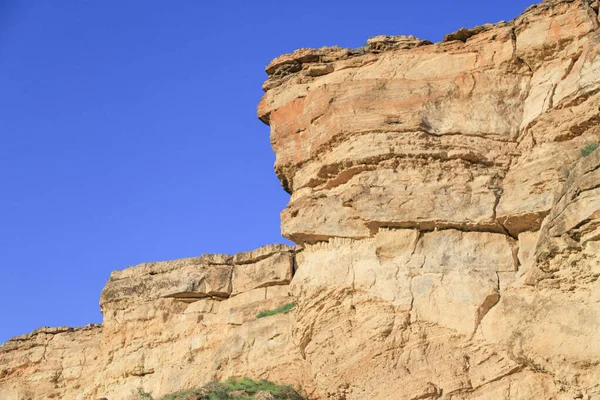 Cennet, dünya, şömineler, çimenler, manzara çiçekler yanıyor.