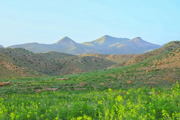 Cielo Tierra Chimeneas Hierba Paisaje Las Flores Fuego — Foto de Stock