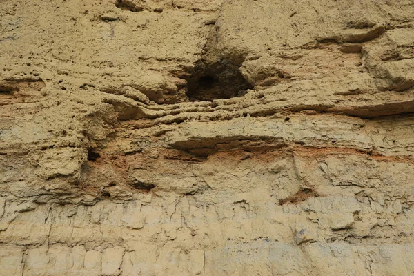 Cennet, dünya, şömineler, çimenler, manzara çiçekler yanıyor.