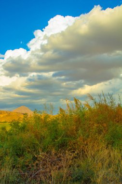 Cennet, dünya, şömineler, çimenler, manzara çiçekler yanıyor.