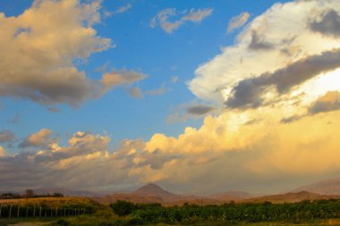 Cennet, dünya, şömineler, çimenler, manzara çiçekler yanıyor.