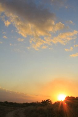 Cennet, dünya, şömineler, çimenler, manzara çiçekler yanıyor.