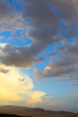 Cennet, dünya, şömineler, çimenler, manzara çiçekler yanıyor.