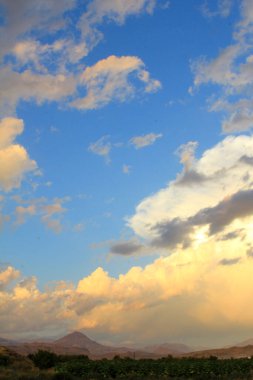 Cennet, dünya, şömineler, çimenler, manzara çiçekler yanıyor.