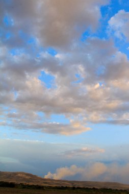 Cennet, dünya, şömineler, çimenler, manzara çiçekler yanıyor.