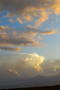 Cennet, dünya, şömineler, çimenler, manzara çiçekler yanıyor.