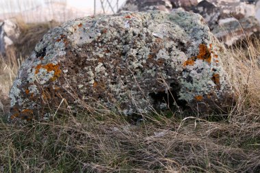Cennet, dünya, şömineler, çimenler, manzara çiçekler yanıyor.