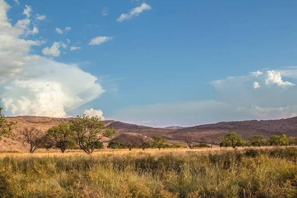 Cennet, dünya, şömineler, çimenler, manzara çiçekler yanıyor.