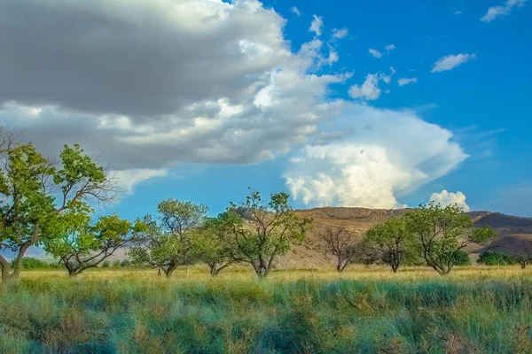 Cennet, dünya, şömineler, çimenler, manzara çiçekler yanıyor.