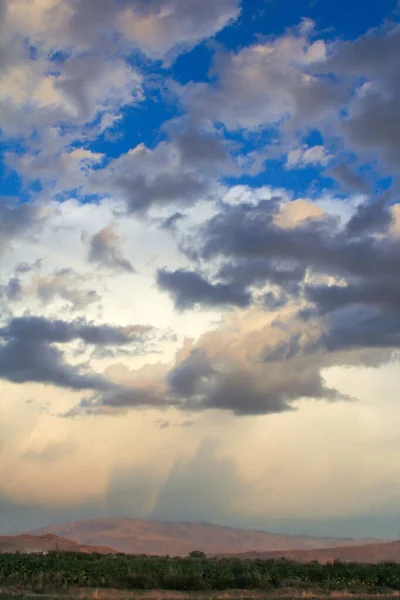 Cennet, dünya, şömineler, çimenler, manzara çiçekler yanıyor.