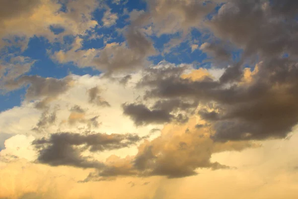 Cennet, dünya, şömineler, çimenler, manzara çiçekler yanıyor.