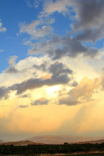 Cennet, dünya, şömineler, çimenler, manzara çiçekler yanıyor.