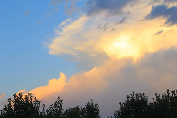 Cennet, dünya, şömineler, çimenler, manzara çiçekler yanıyor.