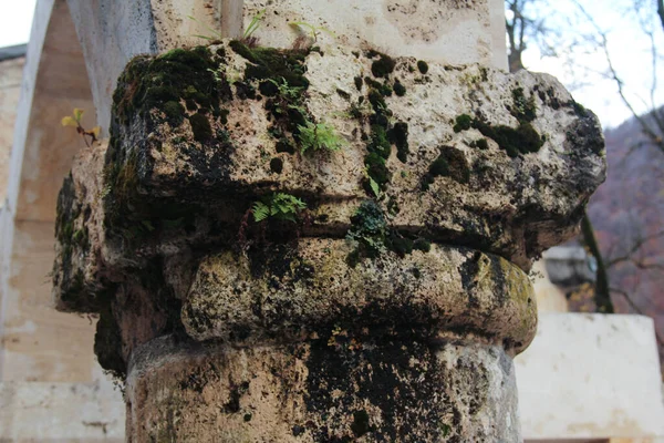 Cennet, dünya, şömineler, çimenler, manzara çiçekler yanıyor.