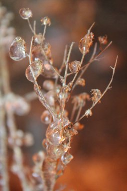Cennet, dünya, şömineler, çimenler, manzara çiçekler yanıyor.
