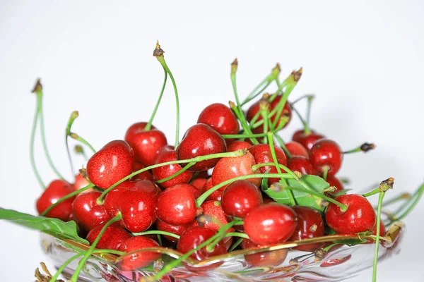 Bodegón Género Especial Pintura Cuadro Que Representa Flores Frutas Juego — Foto de Stock