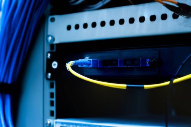 Ağ anahtarı ve ethernet kabloları