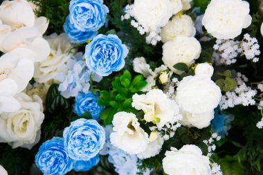 çiçek mavi ve beyaz renk 