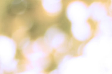 Bokeh Arkaplan Rengi Altın Yeşil.