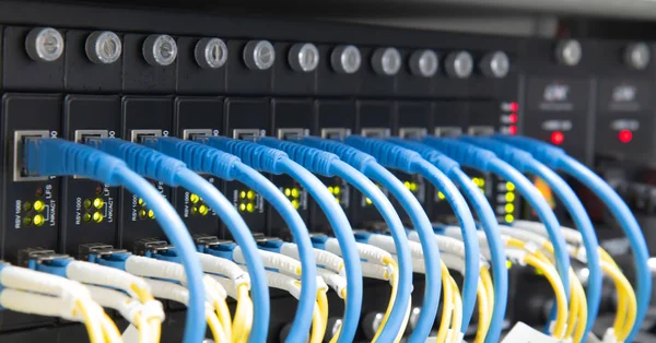 Információs technológia, ethernet kábel hálózati kapcsolókon. — Stock Fotó