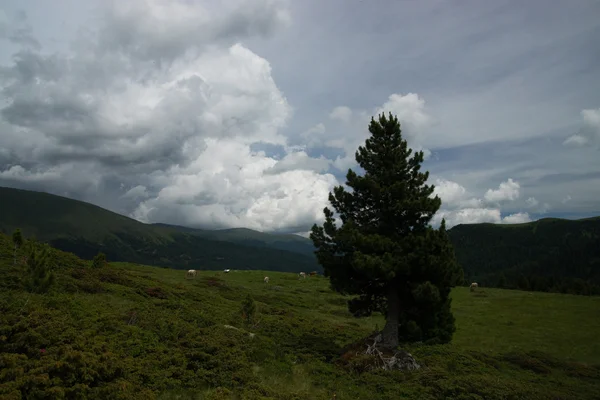 Landscape at the Nock Alp Street, Carinthia, Austria — Stock Photo, Image