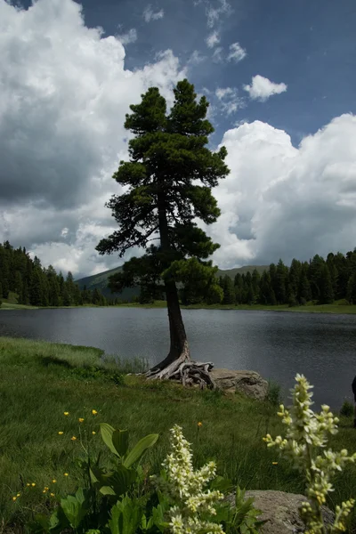 Lago Negro, Carintia, Austria —  Fotos de Stock