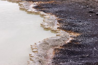 Yellowstone Milli Parkı, utah, ABD