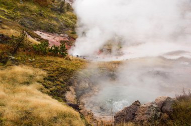 Yellowstone Milli Parkı, utah, ABD