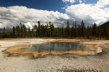 Yellowstone Milli Parkı, utah, ABD