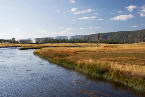 Parque Nacional Yellowstone, Utah, EE.UU. — Foto de Stock