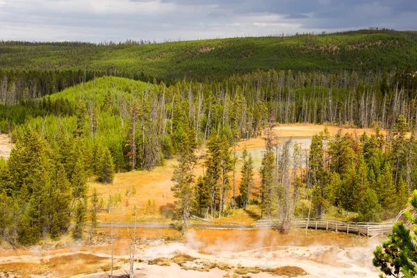 Yellowstone Milli Parkı, utah, ABD — Stok fotoğraf