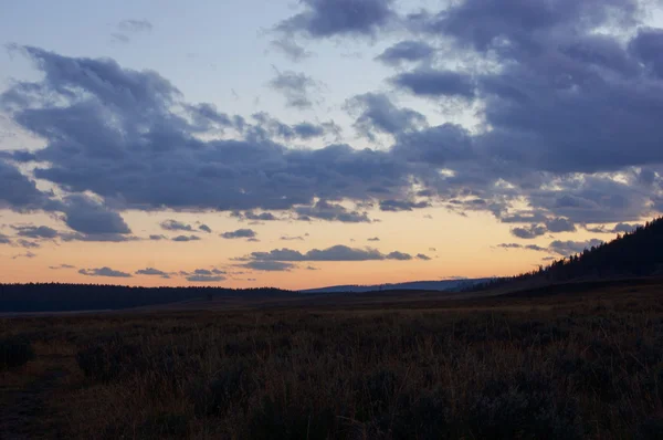 Parque Nacional Yellowstone, Utah, EE.UU. — Foto de Stock