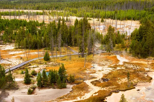 Parque Nacional Yellowstone, Utah, EE.UU. — Foto de Stock